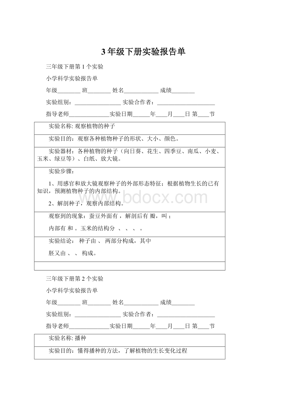 3年级下册实验报告单Word文档格式.docx