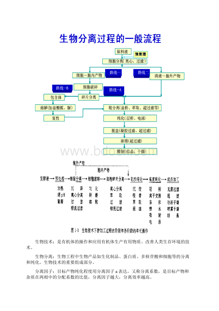 ++1011生物工程下游技术每章课后提示归纳+猫纸升级版Word文档格式.docx_第3页