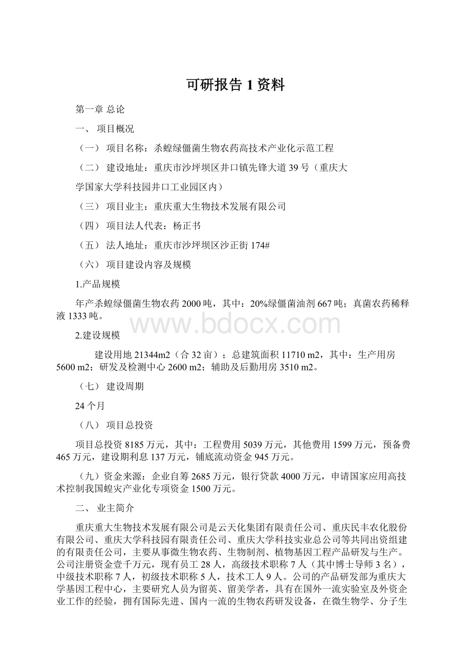 可研报告1资料.docx