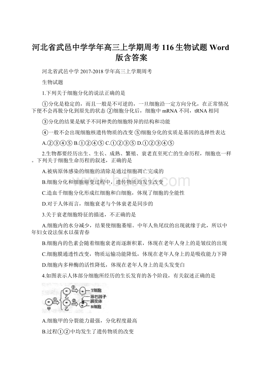 河北省武邑中学学年高三上学期周考116生物试题 Word版含答案Word格式.docx