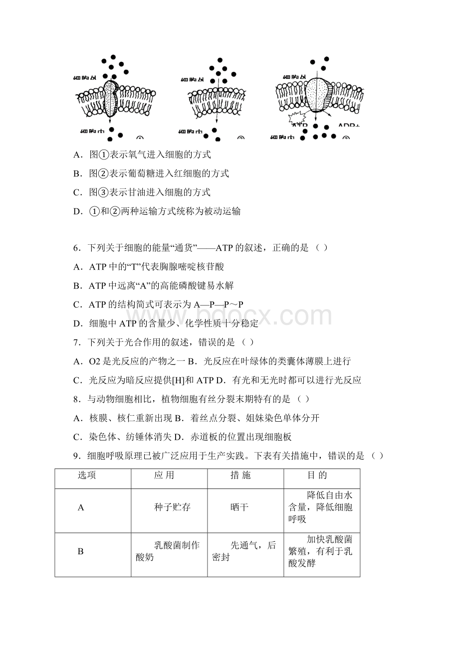 8 生物学年高一下学期期末调研生物试题.docx_第2页