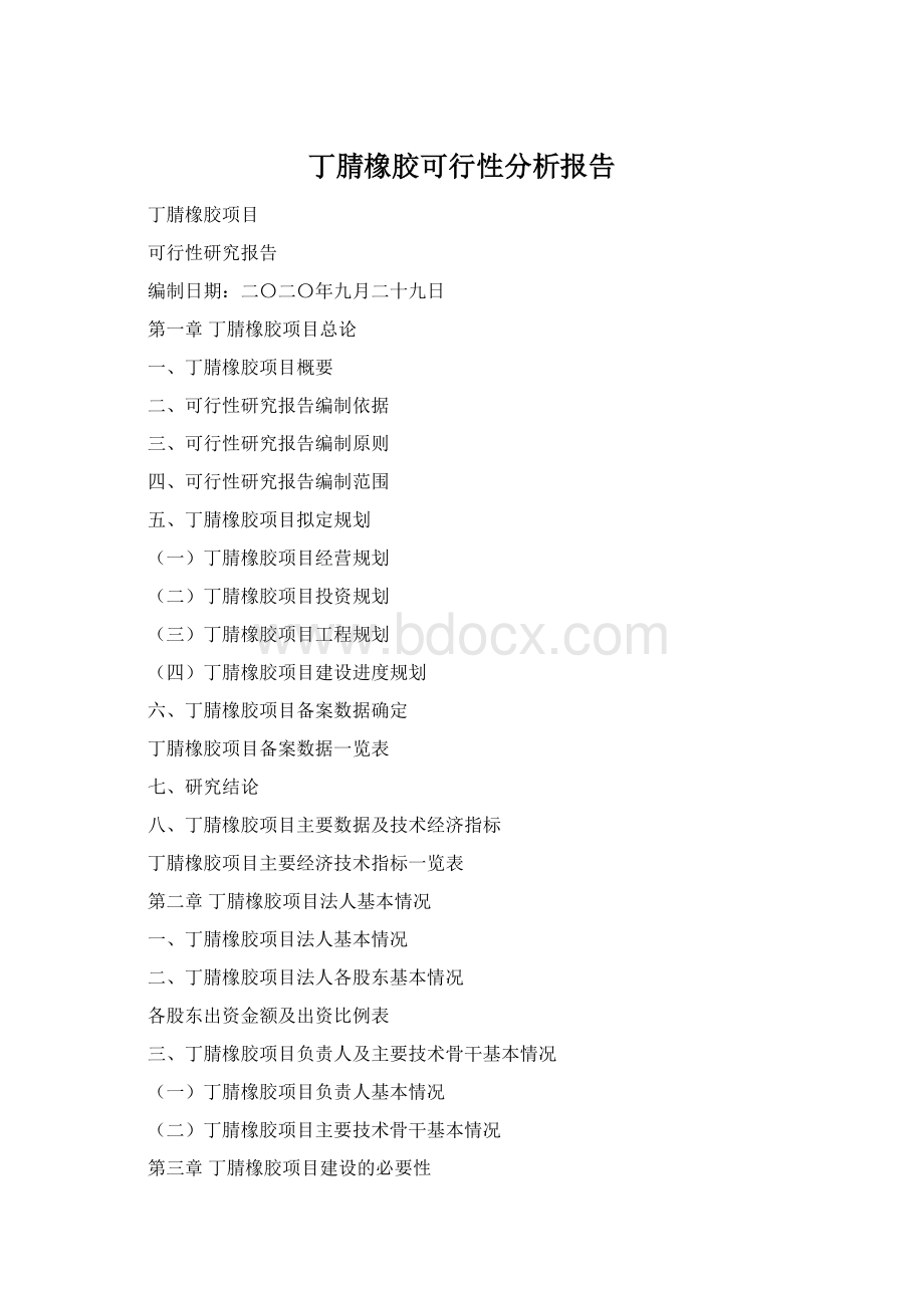 丁腈橡胶可行性分析报告Word文档下载推荐.docx