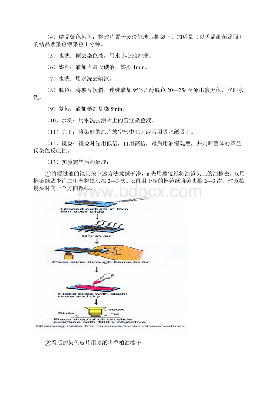 微生物常规鉴定技术汇总文档格式.docx_第3页