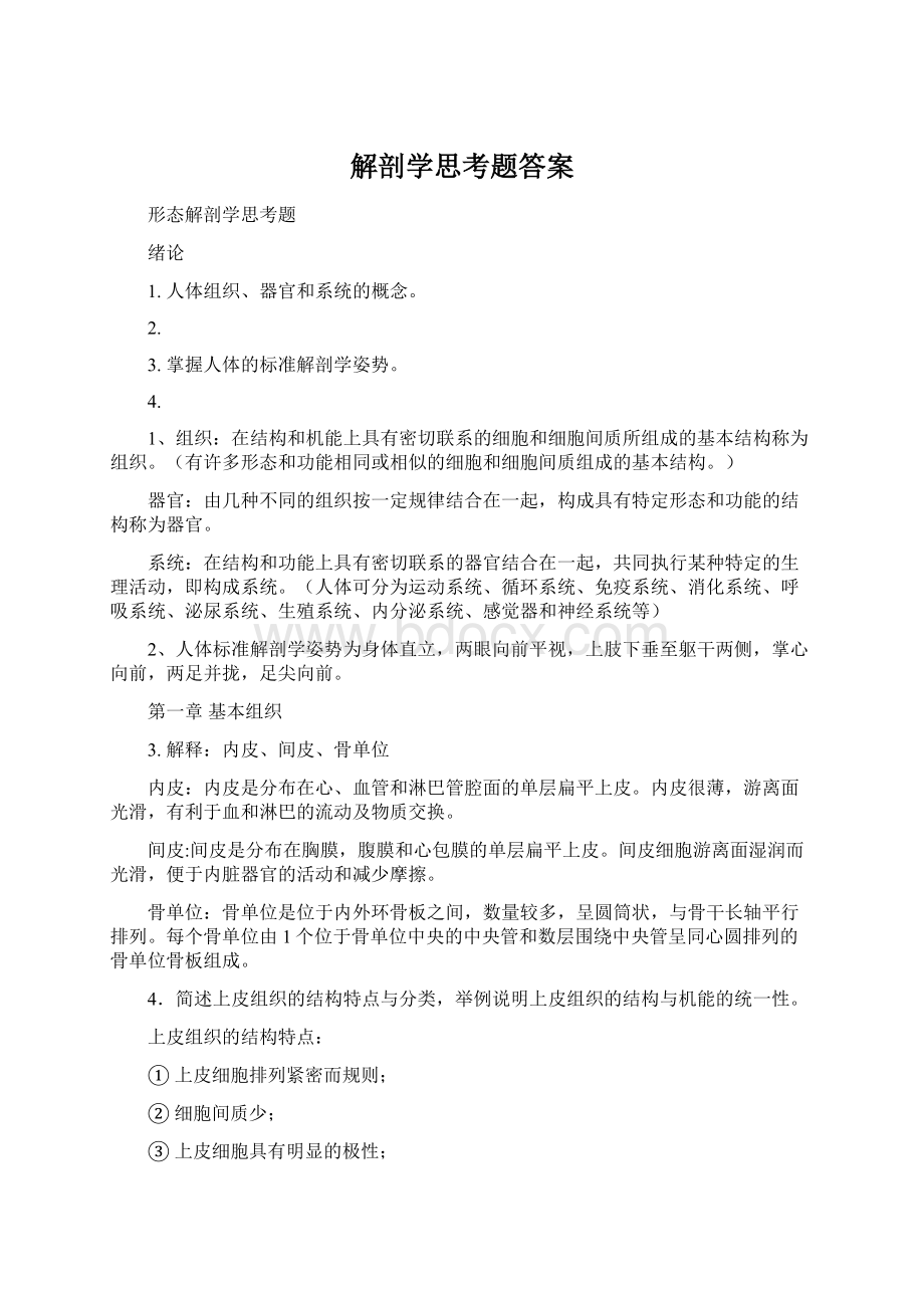 解剖学思考题答案.docx