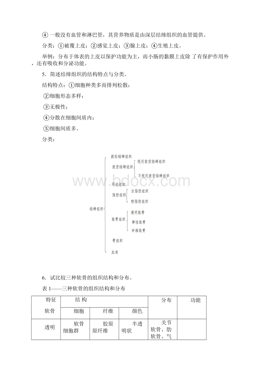 解剖学思考题答案.docx_第2页