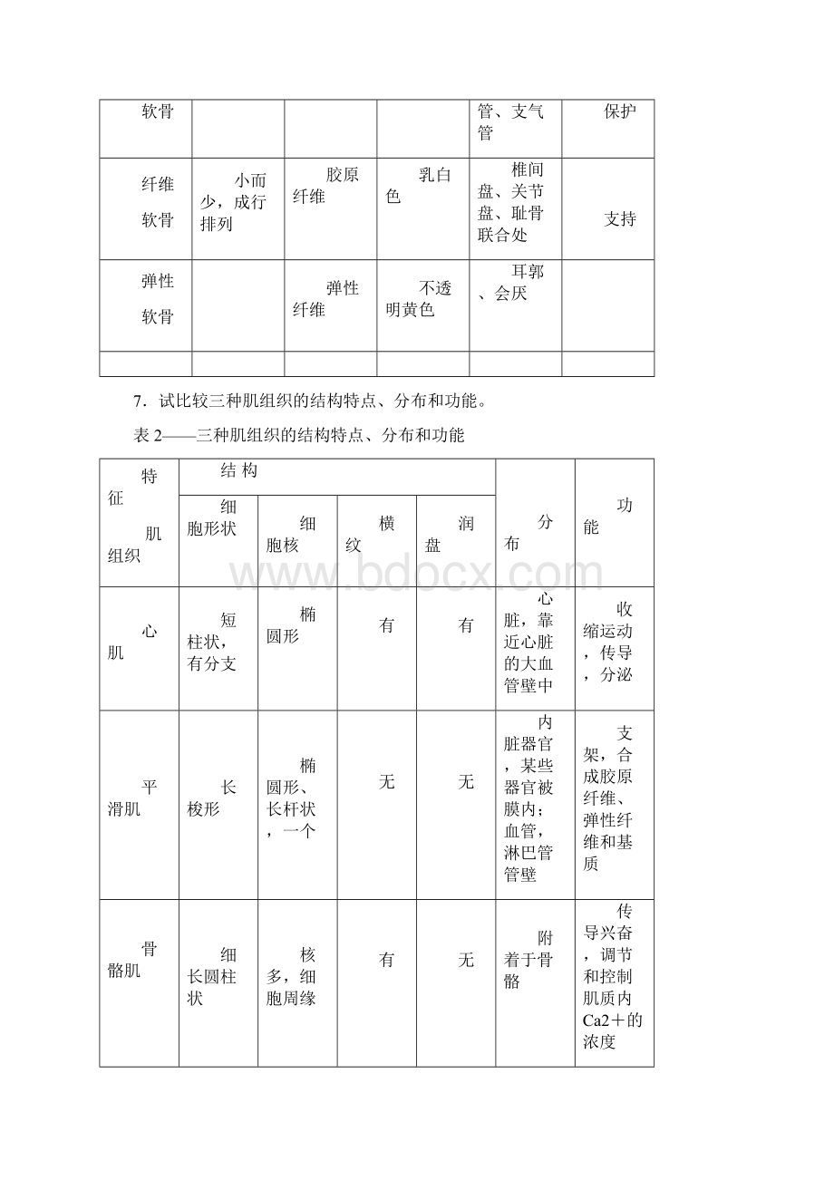 解剖学思考题答案Word格式文档下载.docx_第3页