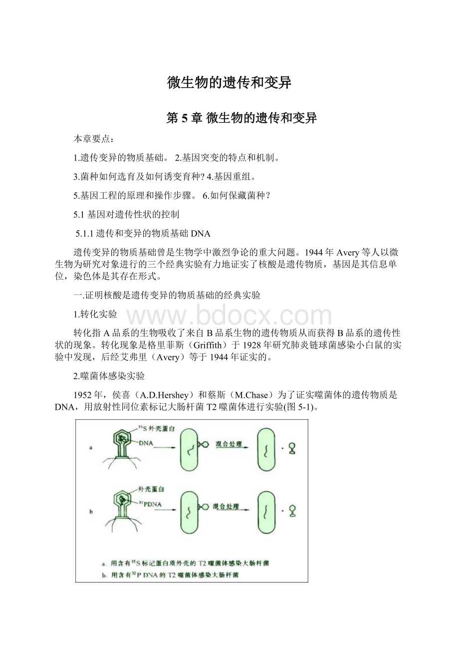 微生物的遗传和变异.docx_第1页