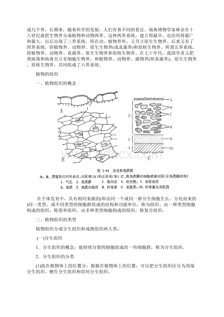 高中生物竞赛培优教案植物一.docx_第2页