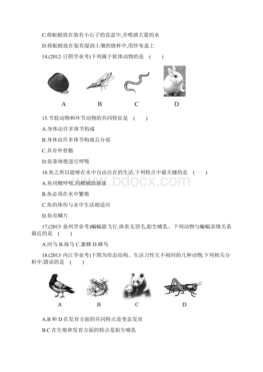 北师大版生物八年级下册第22章《物种的多样性》综合检测Word文件下载.docx_第3页