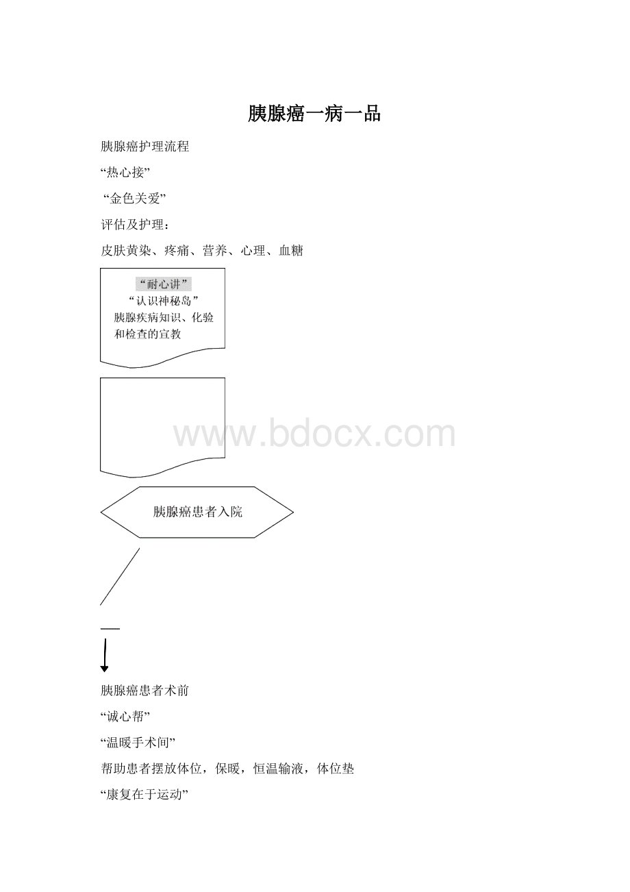 胰腺癌一病一品.docx