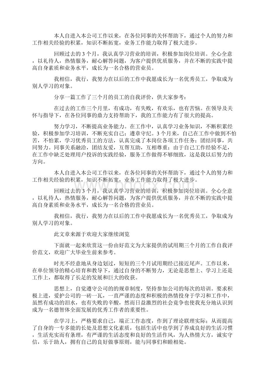 营业员三个月工作的自我评价Word文档格式.docx_第2页