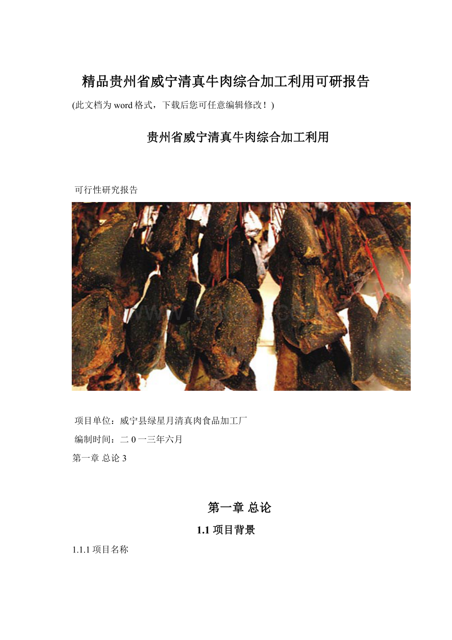 精品贵州省威宁清真牛肉综合加工利用可研报告.docx