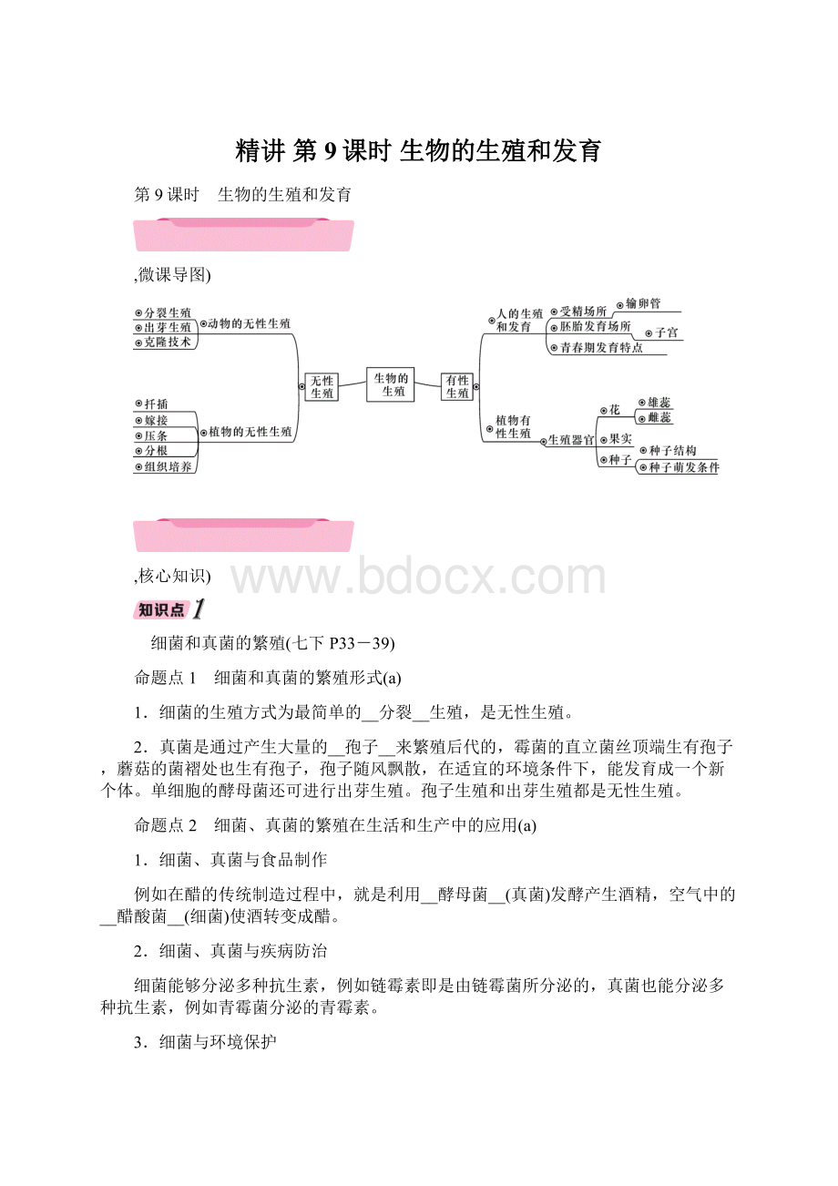 精讲 第9课时 生物的生殖和发育.docx_第1页