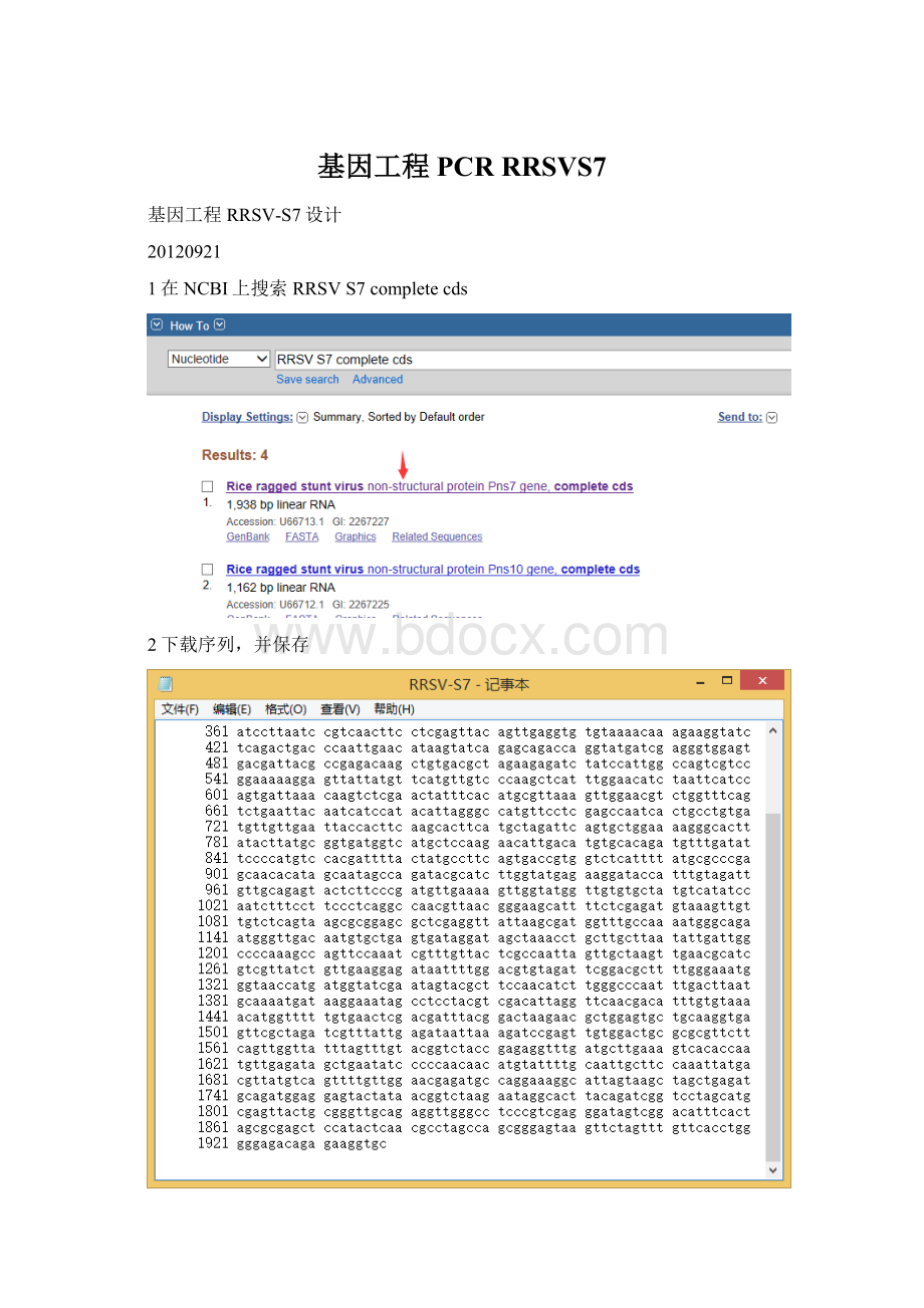 基因工程PCRRRSVS7文档格式.docx_第1页