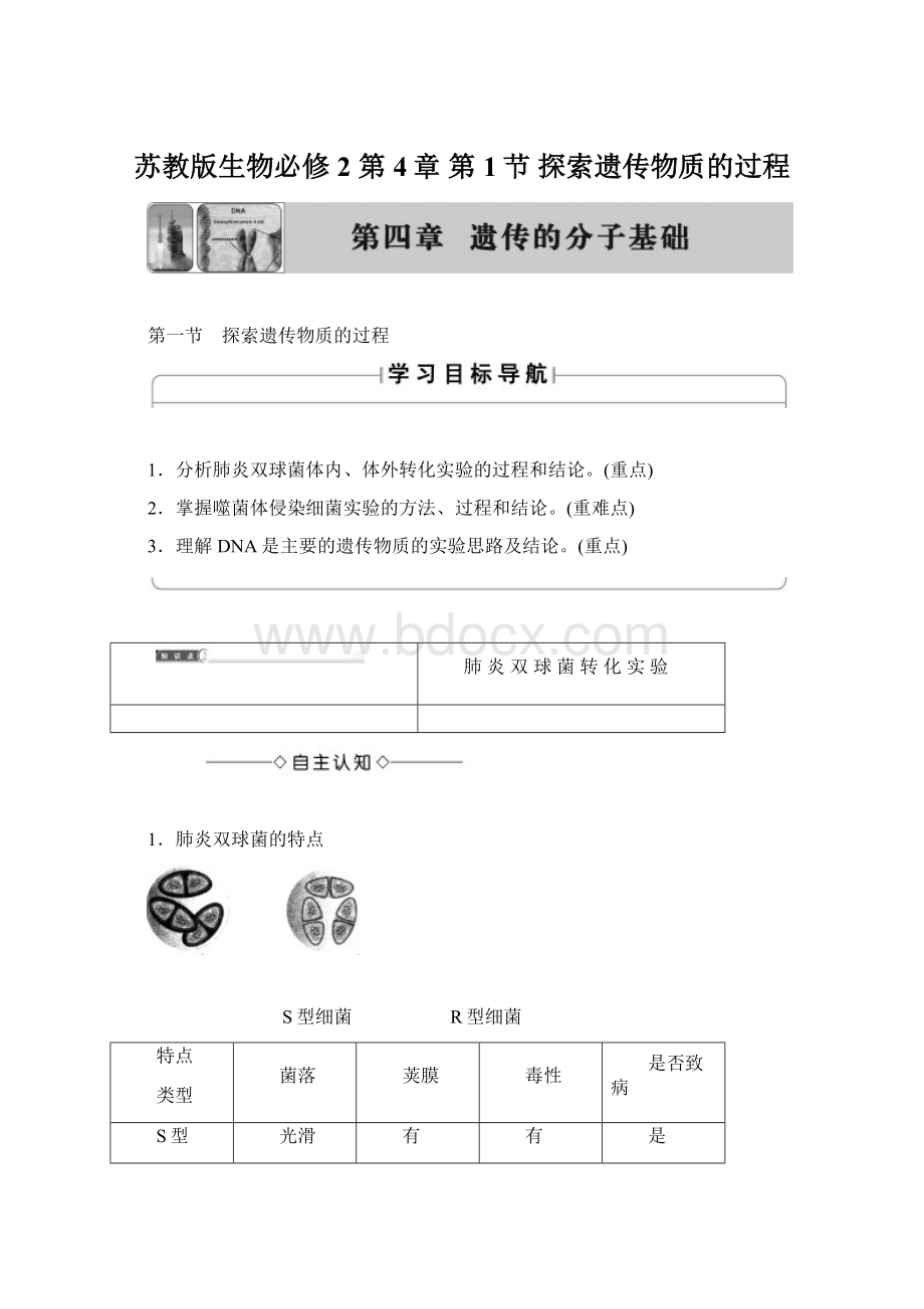 苏教版生物必修2 第4章 第1节 探索遗传物质的过程.docx