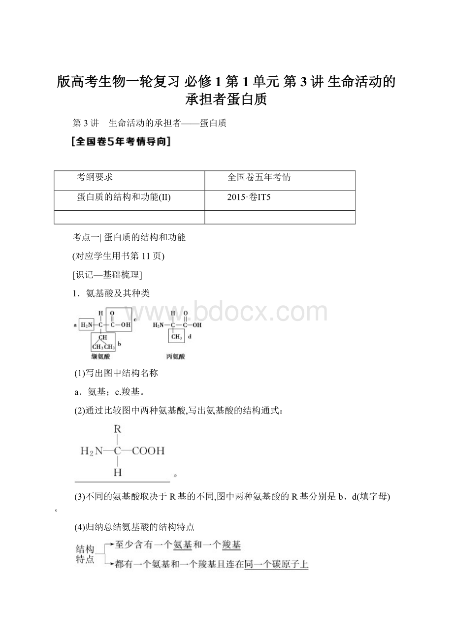 版高考生物一轮复习 必修1 第1单元 第3讲 生命活动的承担者蛋白质.docx_第1页