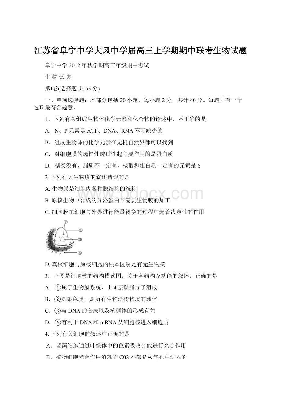 江苏省阜宁中学大风中学届高三上学期期中联考生物试题Word文件下载.docx_第1页