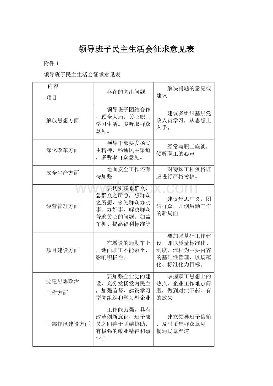 领导班子民主生活会征求意见表Word文档格式.docx