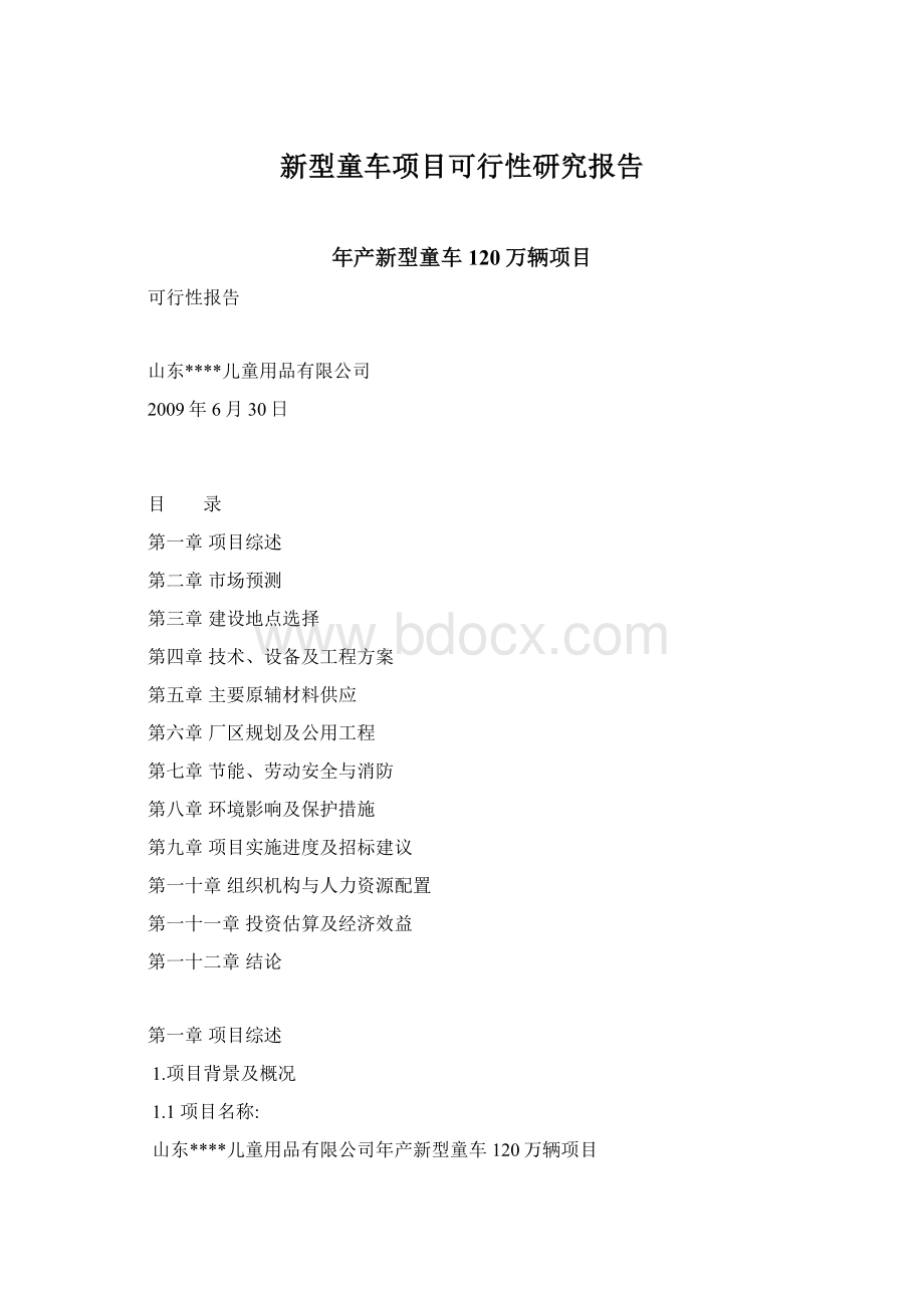 新型童车项目可行性研究报告.docx