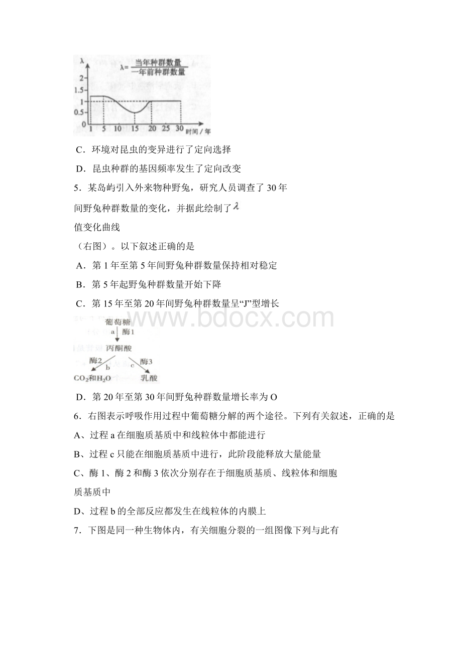 最新届各地最新生物模拟练习50道选择题1 精.docx_第2页