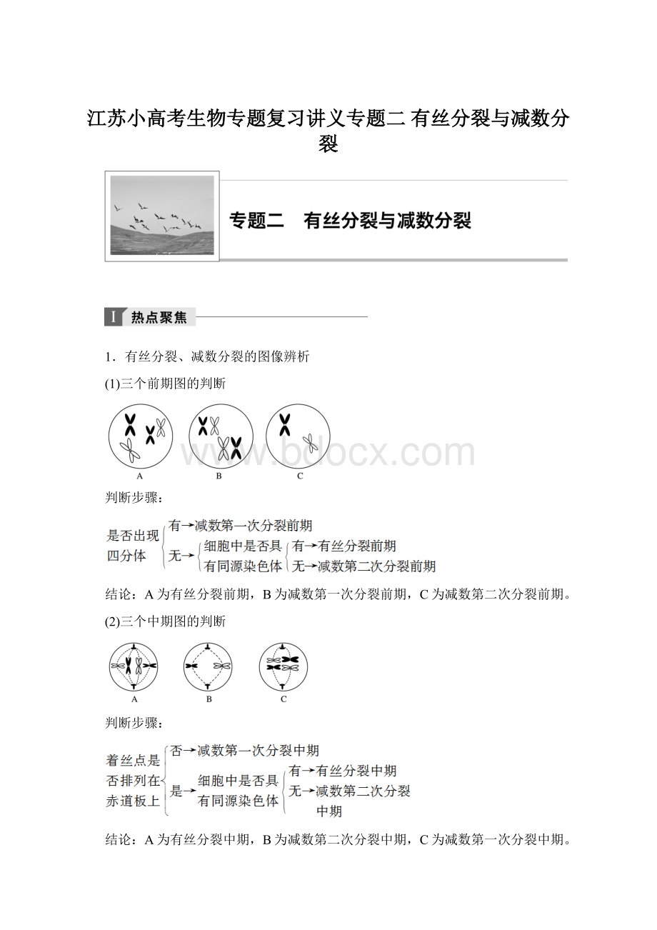 江苏小高考生物专题复习讲义专题二 有丝分裂与减数分裂.docx_第1页