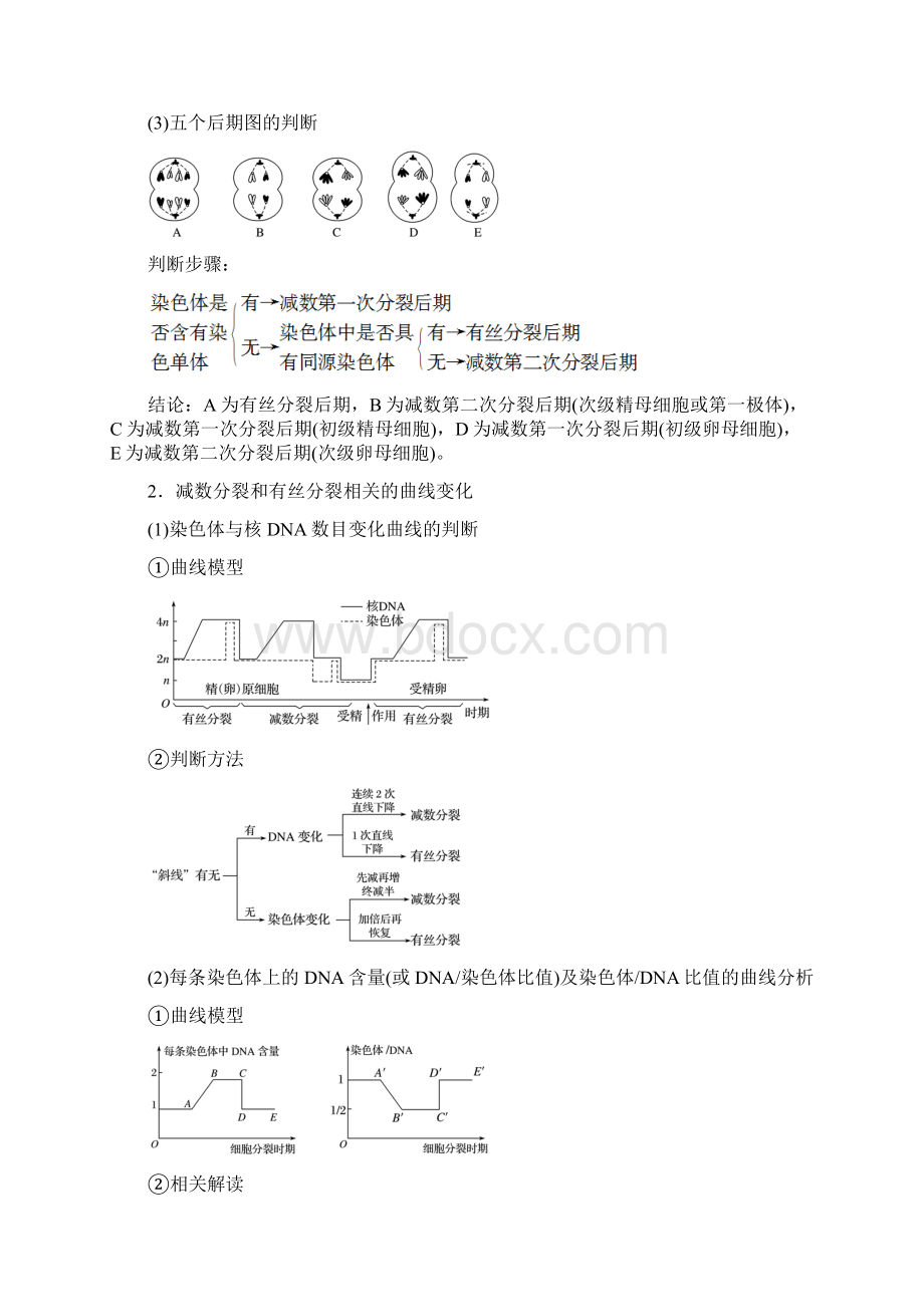 江苏小高考生物专题复习讲义专题二 有丝分裂与减数分裂.docx_第2页