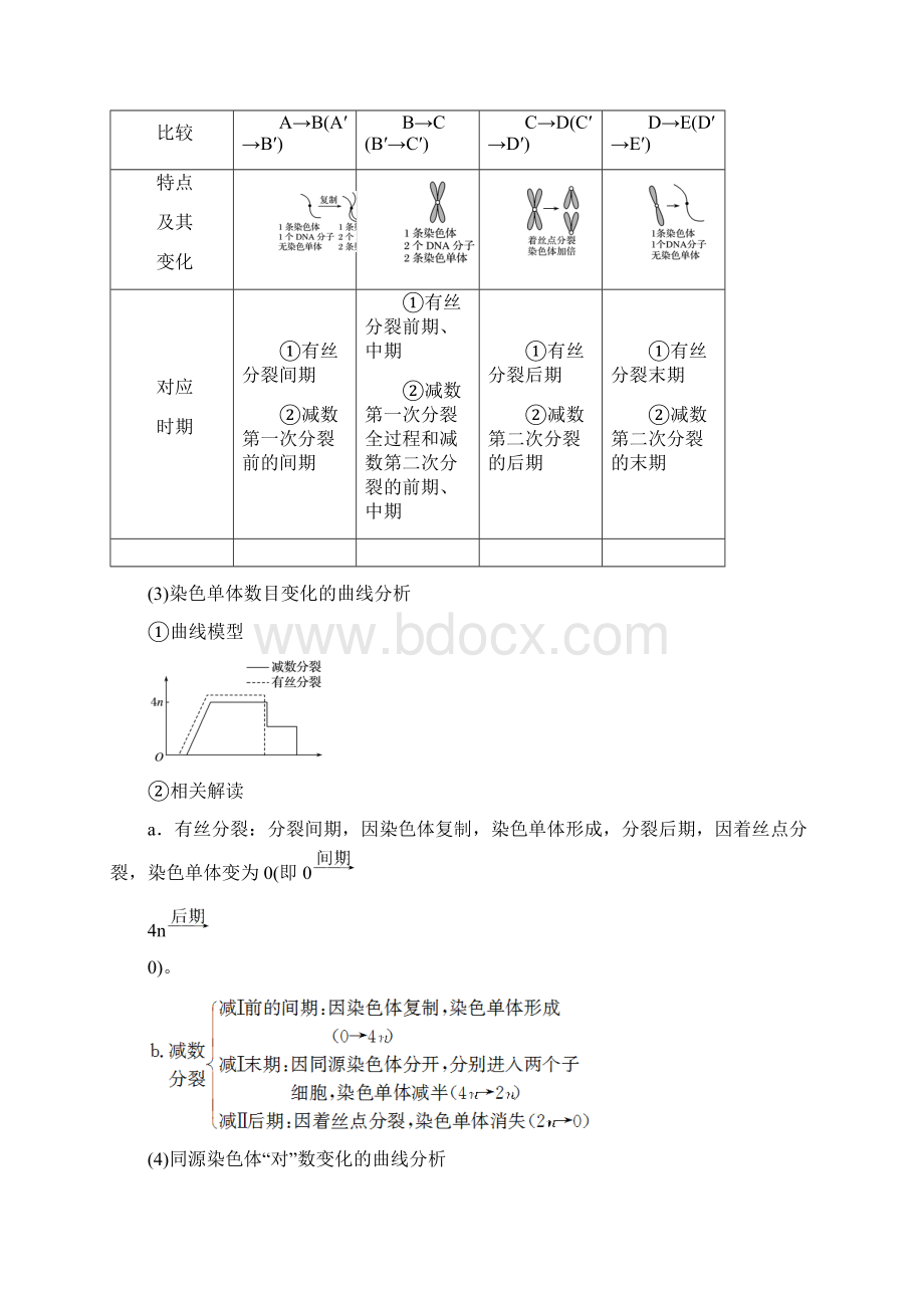 江苏小高考生物专题复习讲义专题二 有丝分裂与减数分裂.docx_第3页