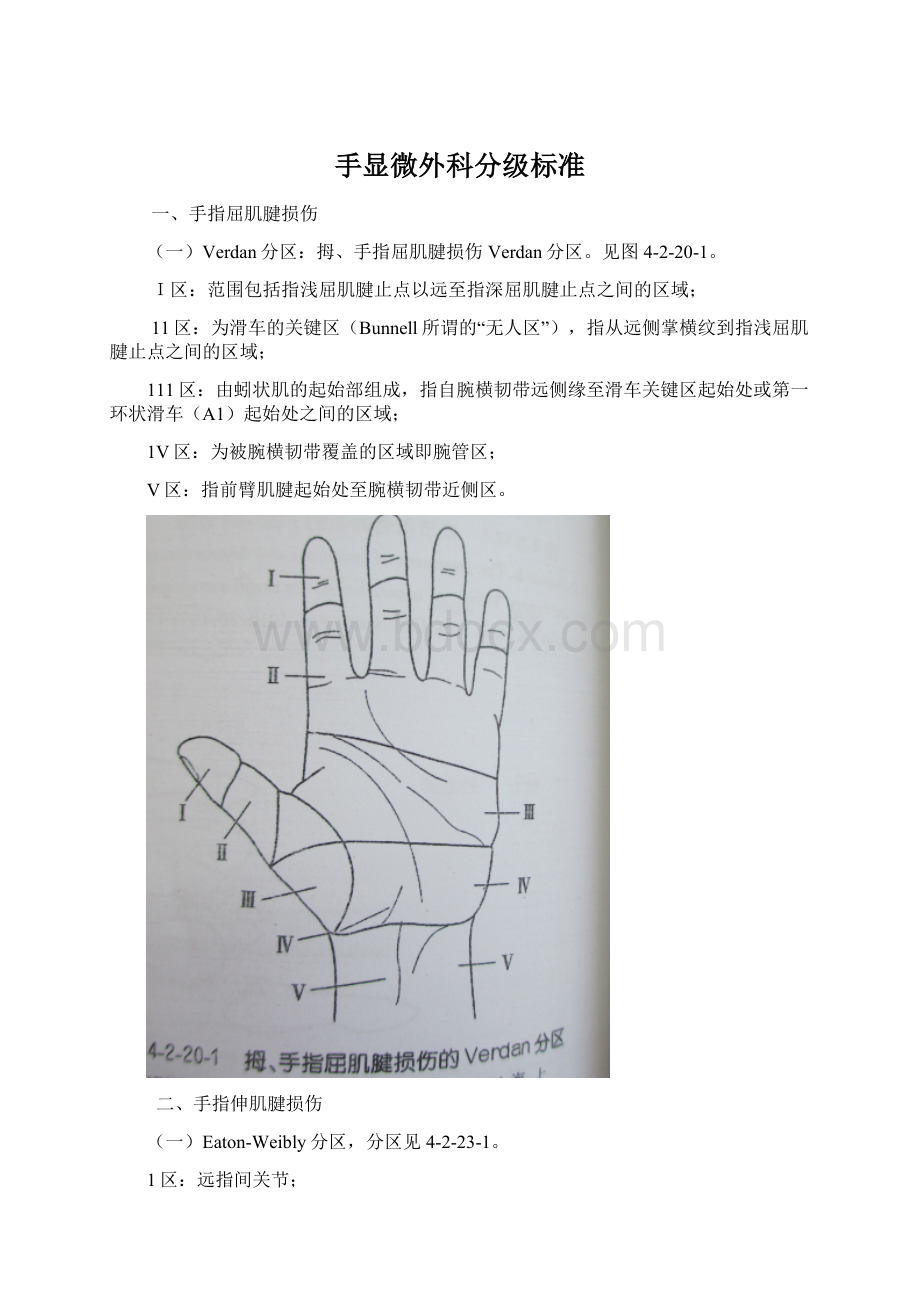 手显微外科分级标准Word文档下载推荐.docx