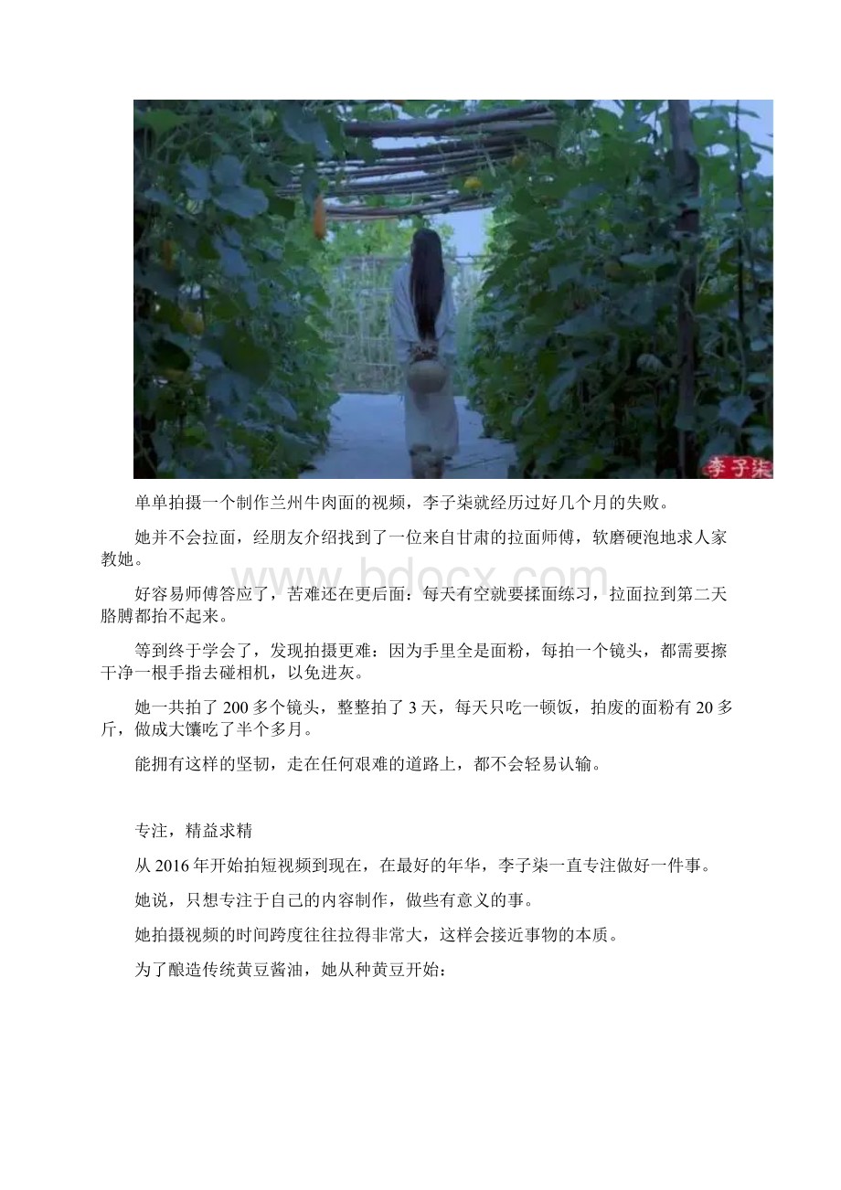 作文素材作文话题人物李子柒凭什么爆红海内外.docx_第3页