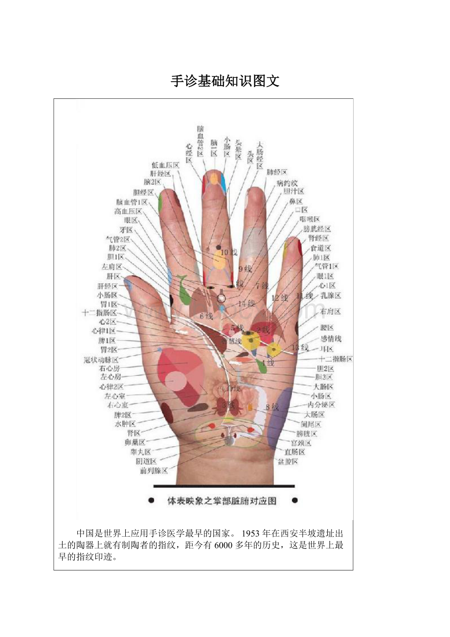 手诊基础知识图文.docx