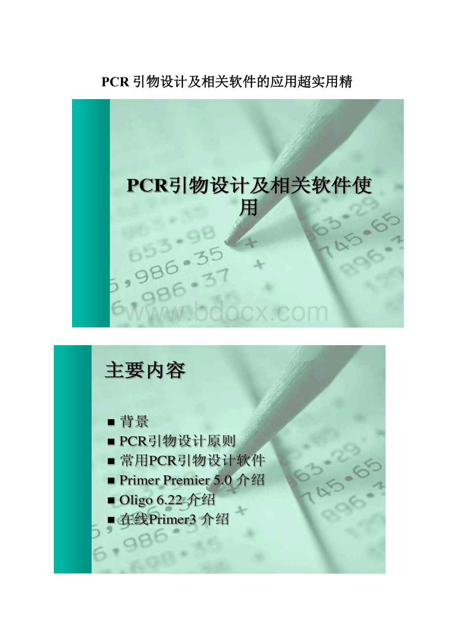 PCR引物设计及相关软件的应用超实用精.docx_第1页