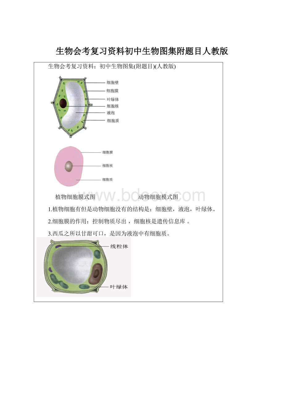 生物会考复习资料初中生物图集附题目人教版文档格式.docx