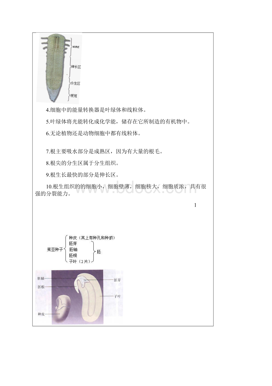 生物会考复习资料初中生物图集附题目人教版文档格式.docx_第2页