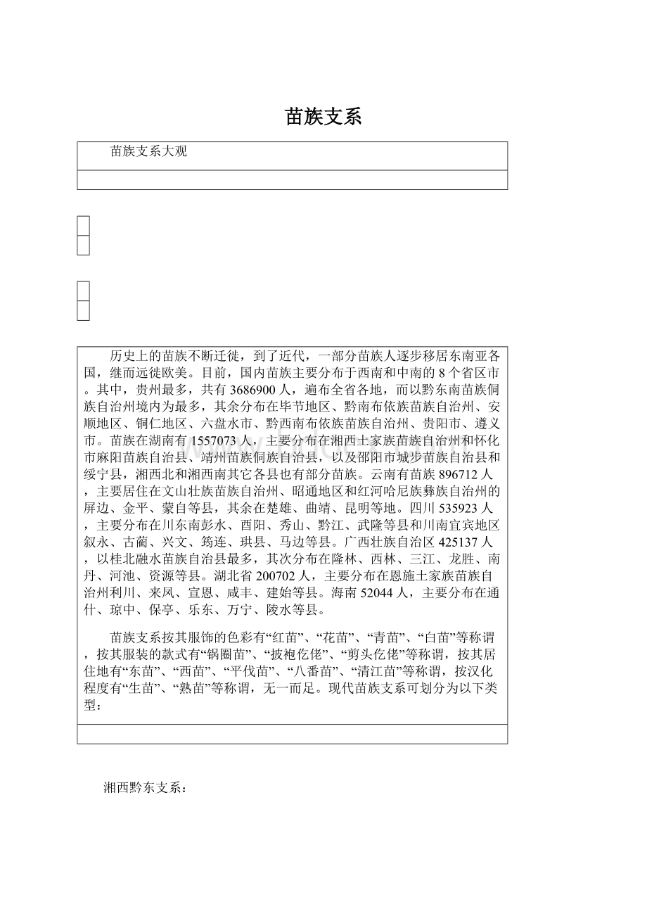 苗族支系Word下载.docx