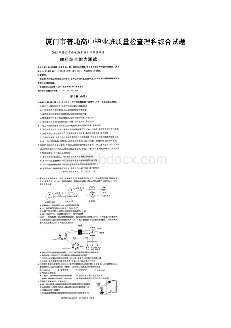 厦门市普通高中毕业班质量检查理科综合试题.docx