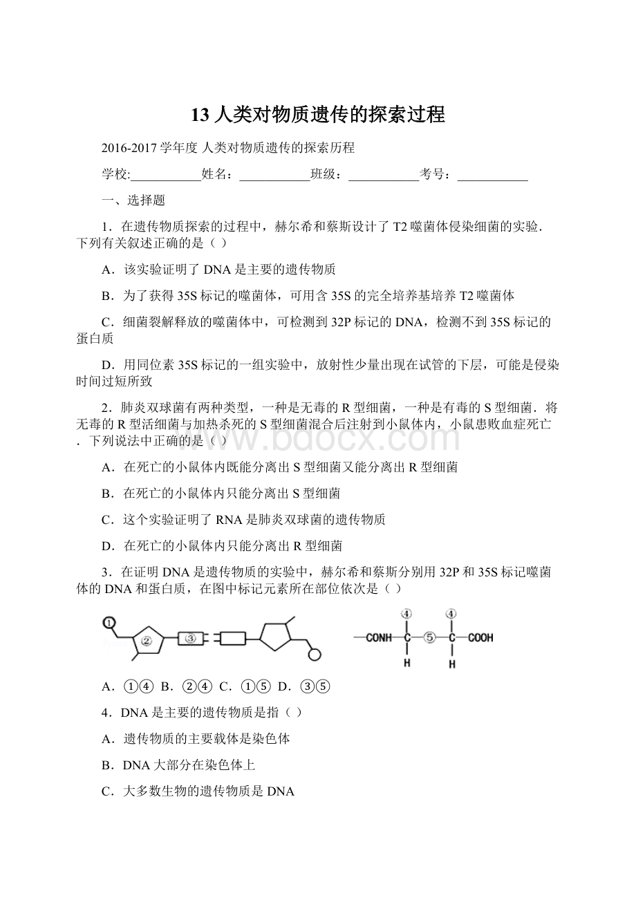 13人类对物质遗传的探索过程Word格式.docx_第1页