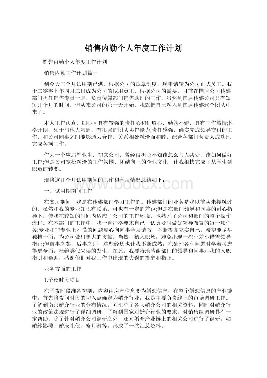 销售内勤个人年度工作计划Word格式文档下载.docx