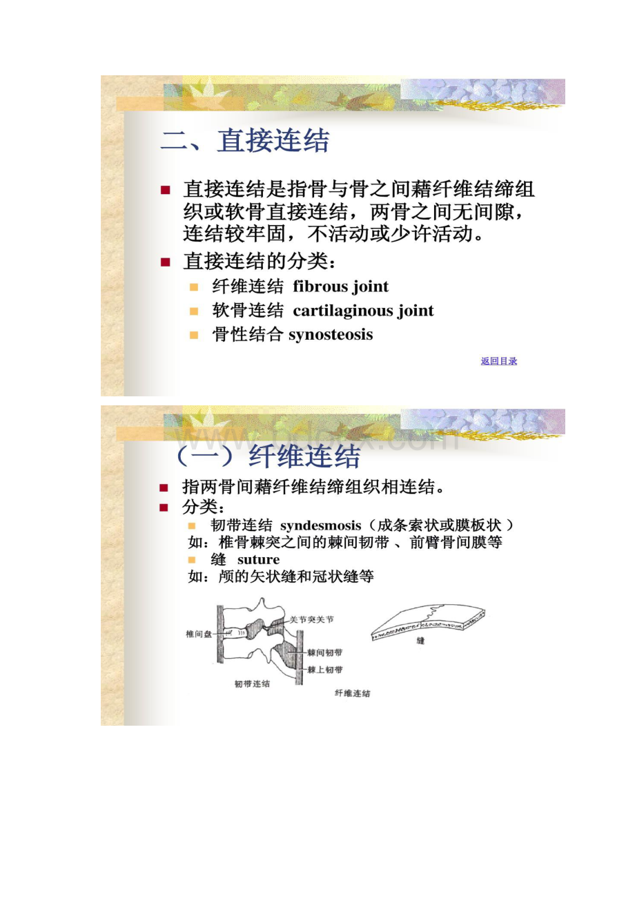 系统解剖学之关节学总论汇总.docx_第3页