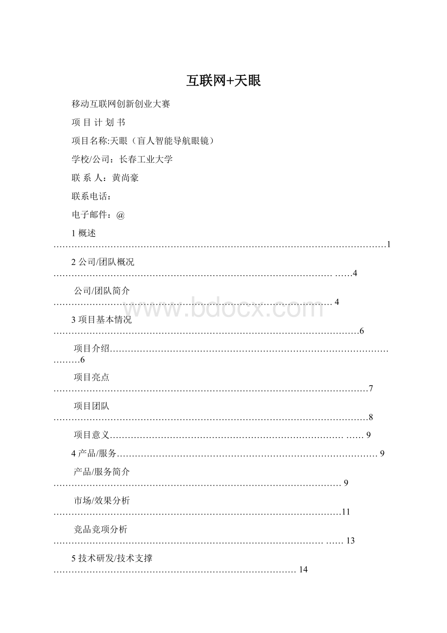 互联网+天眼文档格式.docx_第1页