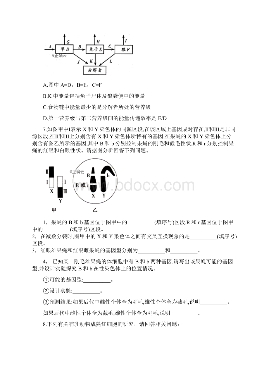 届高考生物模拟点睛卷全国卷二文档格式.docx_第3页