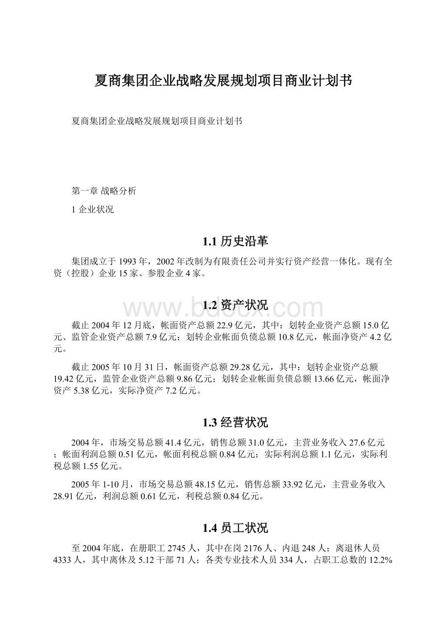 夏商集团企业战略发展规划项目商业计划书.docx_第1页