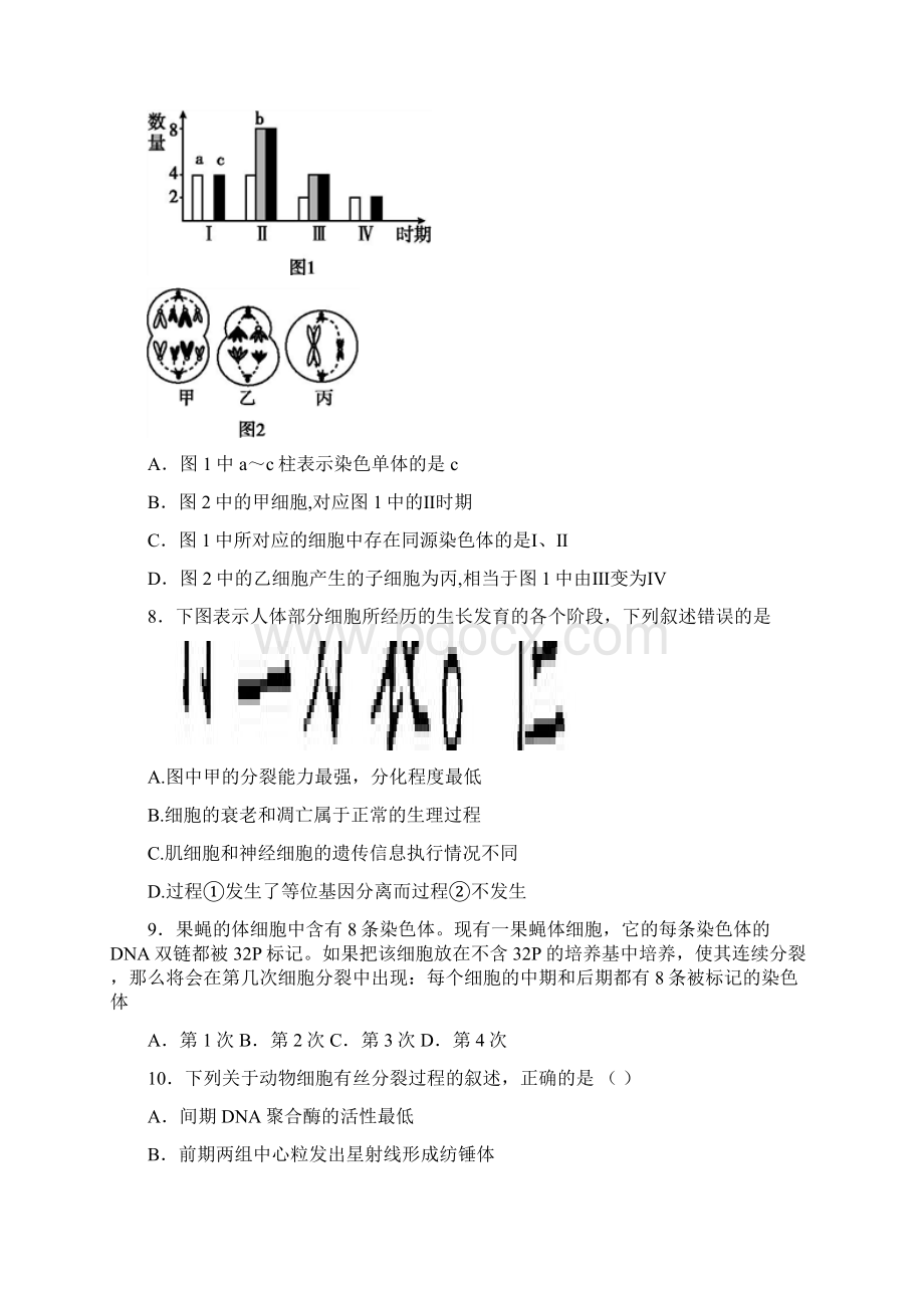 细胞的生命历程专题训练Word文件下载.docx_第3页