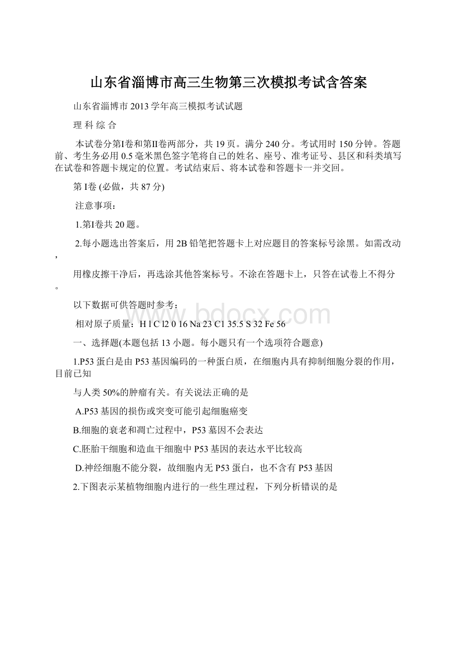 山东省淄博市高三生物第三次模拟考试含答案.docx