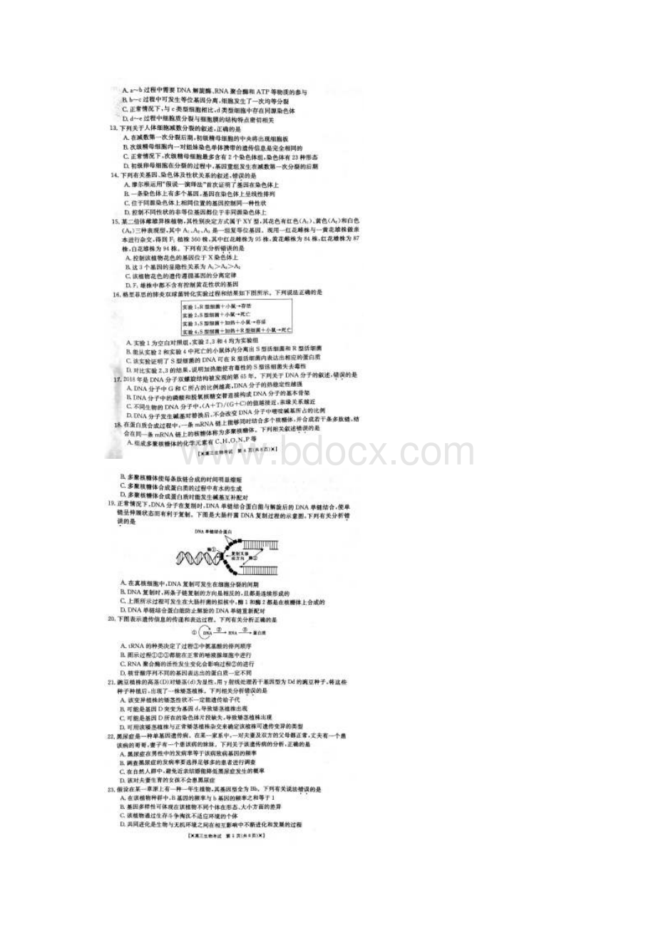 山东省临沂市临沭第一中学届高三考生物试题 扫描版含答案.docx_第3页