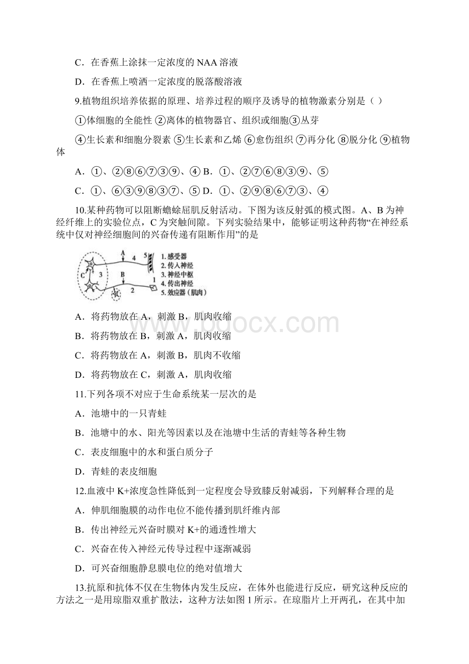 安徽省滁州市定远县民族中学学年高二生物上学期期末考试试题Word格式文档下载.docx_第3页