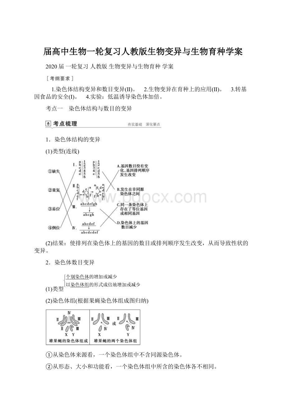 届高中生物一轮复习人教版生物变异与生物育种学案Word下载.docx_第1页