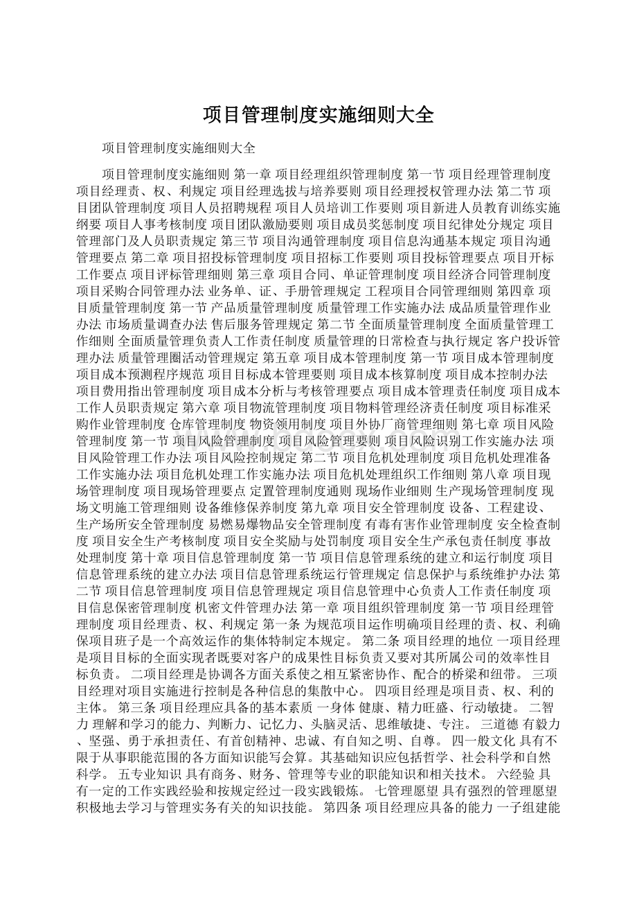 项目管理制度实施细则大全Word格式文档下载.docx_第1页