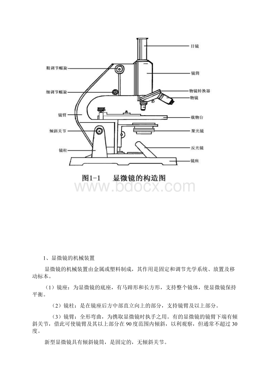 21植物学实验指导手册.docx_第2页