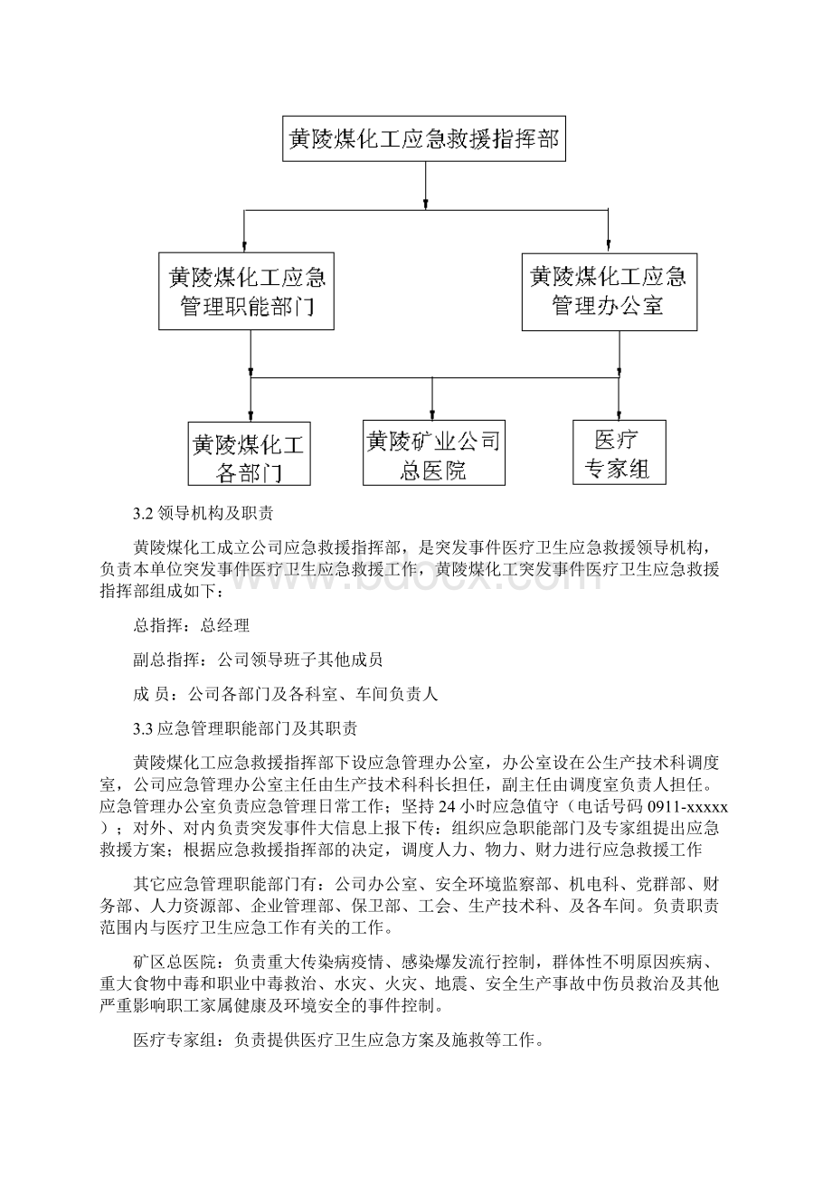 突发医疗卫生事件应急预案.docx_第3页