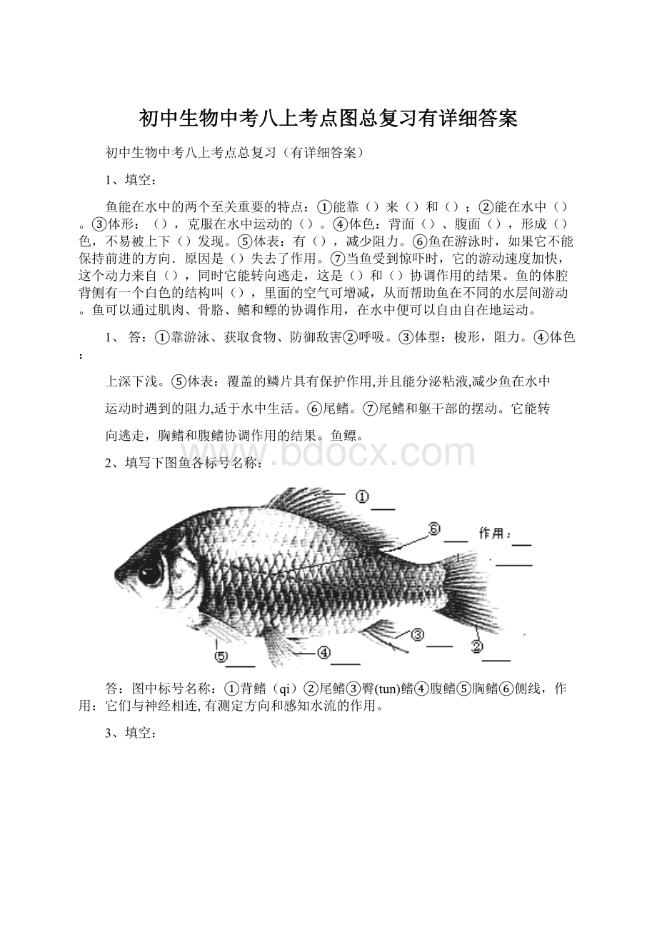 初中生物中考八上考点图总复习有详细答案.docx_第1页